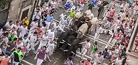 Encierro de San Fermín