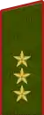 Insigne de colonel-général(uniforme de terrain de l'Armée de terre).