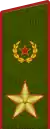 Insigne de général de l'Armée(uniforme de terrain de l'Armée de terre).
