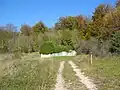 Cimetière des prisonniers de guerre russes de Gänsewag