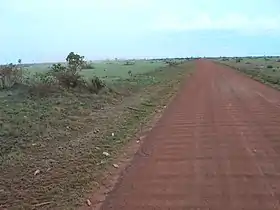 La route 8 dans la Province de José Ballivián.