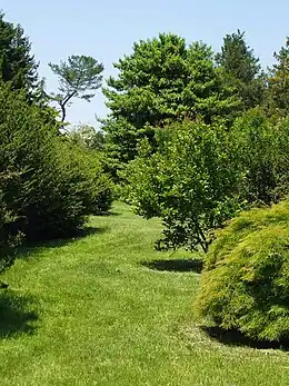 Arboretum des jardins de l'université Rutgers (actuellement situés à North Brunswick).