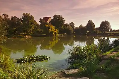 Etang à Voděrady.