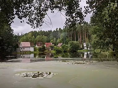 Étang à Trhové Sviny.