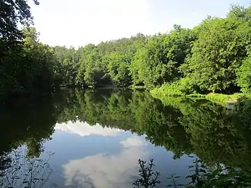 L'étang de Druztová.