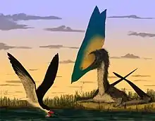 Illustration of a T. sethi and a skimming bird