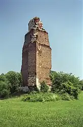 Tour en ruines du château.