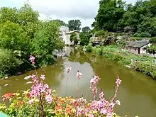 La Sèvre Nantaise à Mallièvre