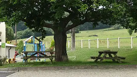 Tables de pique-nique et aire de jeux.