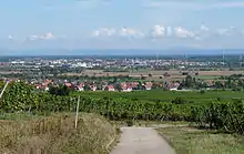 Photographie de Sélestat depuis Kintzheim.