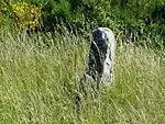 Menhir de Bargueyracou menhir de la Pierre Plantade