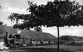 Un train (comboio) de roça (1912-1925).