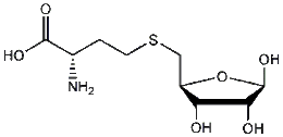 Image illustrative de l’article S-Ribosylhomocystéine