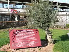 Mémorial aux combattants espagnols de la Plaine.