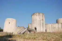 Château du Coudray-Salbart.