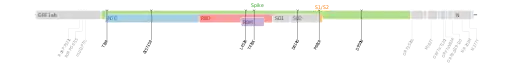 Les mutations du variant Delta sur une carte génomique du SARS-CoV-2