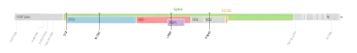 Les mutations du variant Epsilon sur une carte génomique du SARS-CoV-2