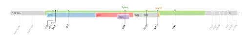 Les mutations du variant Êta sur une carte génomique du SARS-CoV-2