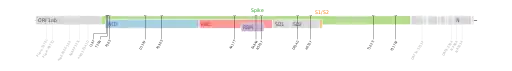 Les mutations du variant Gamma sur une carte génomique du SARS-CoV-2