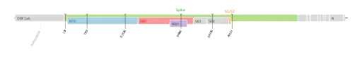 Les mutations du variant Iota sur une carte génomique du SARS-CoV-2