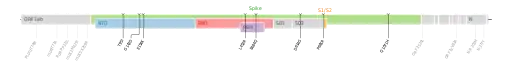 Les mutations du variant Kappa sur une carte génomique du SARS-CoV-2