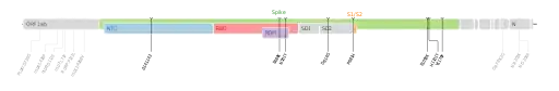 Les mutations du variant Thêta sur une carte génomique du SARS-CoV-2