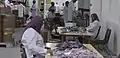 Fabrication de médicaments, ici à la State Company for Drugs Industry and Medical Appliances (SDI Company) à Samarra, en Irak (2019);