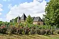 L'église et le vignoble de Servion