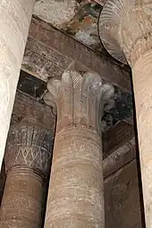Colonne palmiforme à chapiteau ouvert. Temple d'Horus (Edfou)