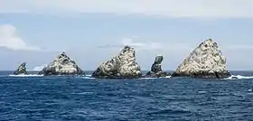 Une vue des îlots de Shag Rocks