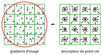 Illustration de la construction d'un descripteur SIFT à partir d'une région de 16 × 16 pixels.