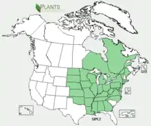 Répartition de Silphium perfoliatum en Amérique du Nord