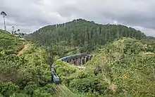 Un train passe sur un viaduc au milieu des collines et des forêts.