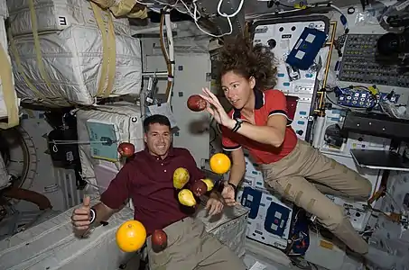 Sur le pont inférieur de la navette spatiale Endeavour dans le cadre de la mission STS-126