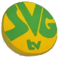 Ancien logo de SVG TV