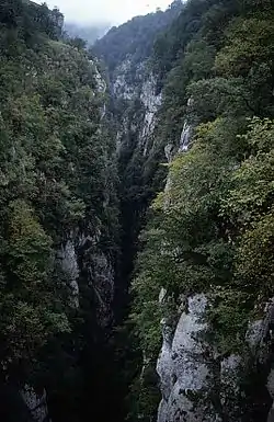 Les gorges d'Holtzarte.