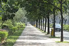 Piste à Shenzhen