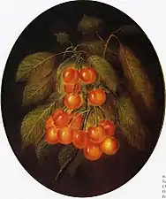 Cerises, vers 1860.