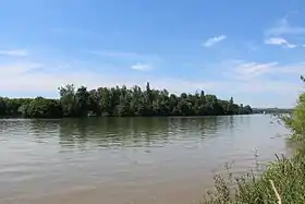 L'île Palme ou île Saint-Jean