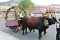 "Sa tracca", chariot à bœufs toujours utilisé pour la procession religeuse de le patron du village