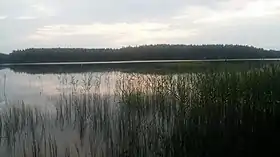 Lac Saarijärvi.
