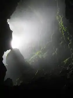 Image illustrative de l’article Parc national de la rivière souterraine de Puerto Princesa