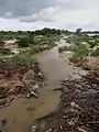 La rivière Sabie presque à sec