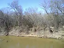 Vue d'une berge d'un fleuve bordé par des arbres sans feuillage.