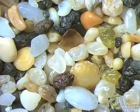 Sable de Kalalau Beach, Hawaii (Largeur de champ = 5,5 mm). On peut voir quelques grains d'olivine caractéristiques des sables d'origine volcanique.
