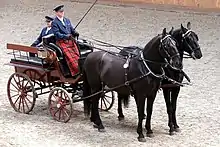 Photo de deux chevaux noirs à l'arrêt attelés à une voiture.