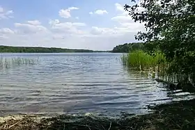 Image illustrative de l’article Lac de Sacrow