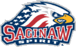 Description de l'image Saginaw Spirit.gif.