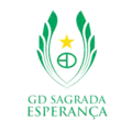 Logo du Sagrada Esperança