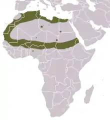 Carte d'Afrique avec anneau coloré autour du Sahara, plus quelques taches éparses